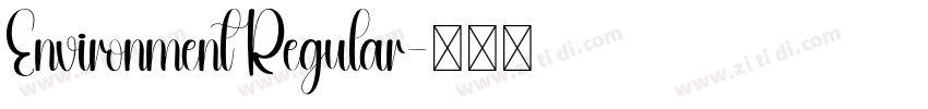 Environment Regular字体转换